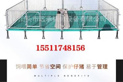 養(yǎng)殖機械母豬產床