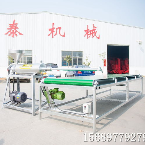【遼寧全自動不銹鋼紅薯粉條機(jī)蒸汽式粉條機(jī)工作視頻】- 